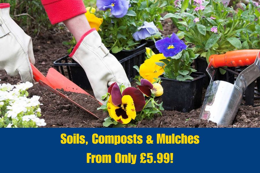 Gardener adding compost to flower beds to improve soil quality